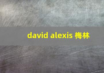 david alexis 梅林